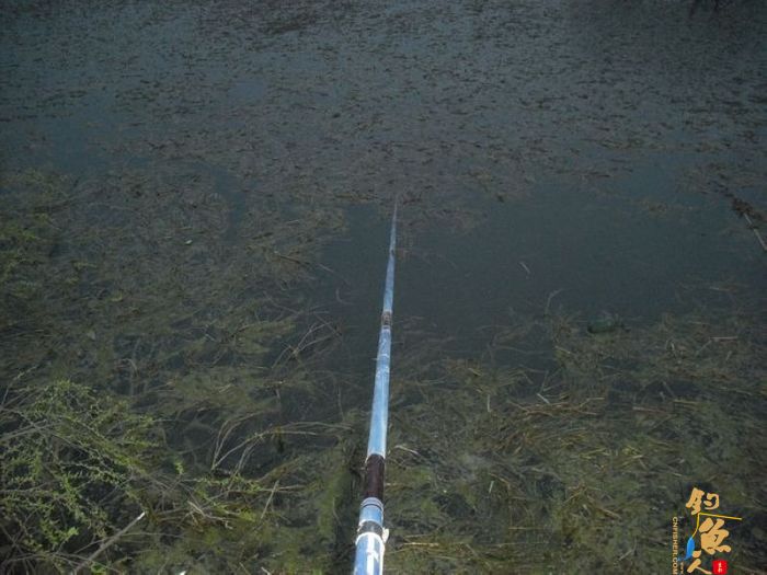长江水库之塞翁失马,焉知非福!