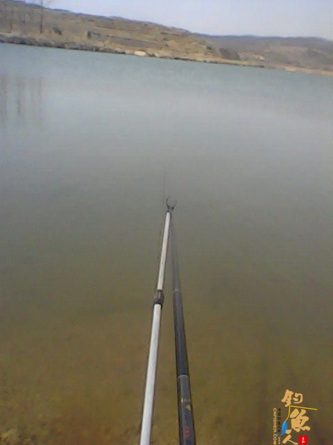 再次跑空,叫你不死心