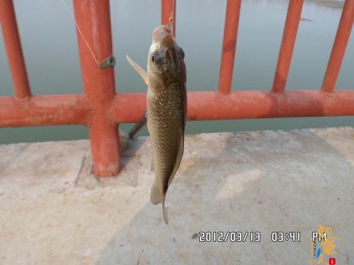 游钓马湾、北舞渡