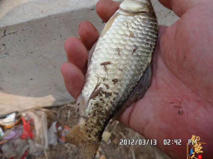 游钓马湾、北舞渡