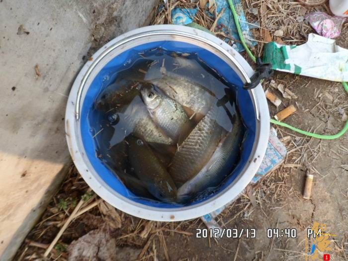 游钓马湾、北舞渡