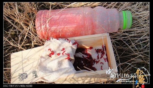 2012渔人印迹:勇于挑战,苍天不负