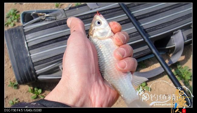 2012渔人印迹：勇于挑战，苍天不负