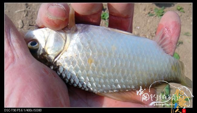 2012渔人印迹：勇于挑战，苍天不负