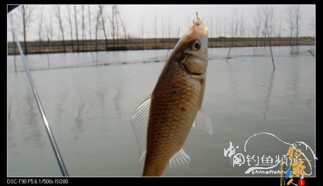 2012渔人印迹：勇于挑战，苍天不负