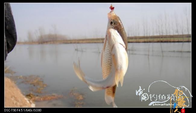 2012渔人印迹:勇于挑战,苍天不负