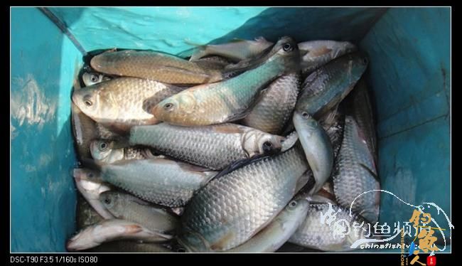 2012渔人印迹:勇于挑战,苍天不负