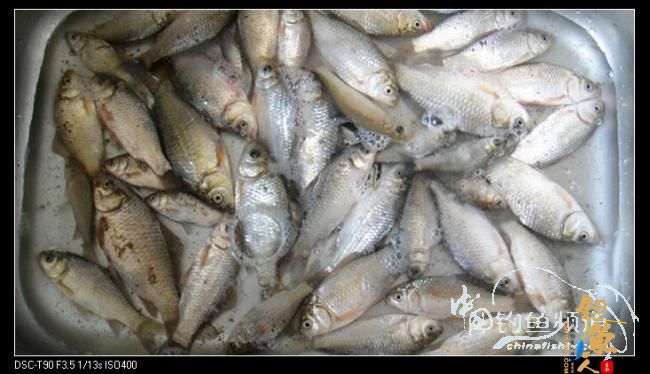 2012渔人印迹:勇于挑战,苍天不负