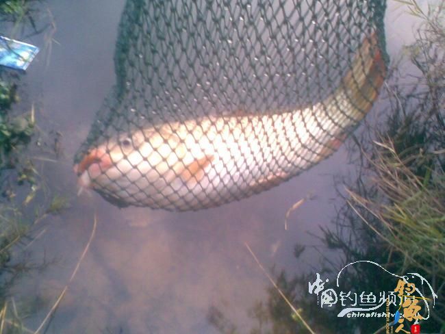 那马河：竹泉岛攻略