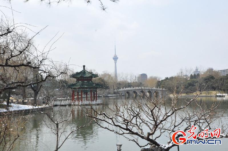 北京钓鱼台国宾馆雪后美景(组图)