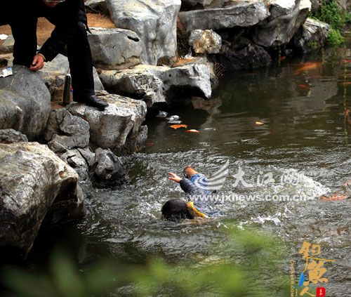 赏鲤鱼 开心 坠水塘 惊心 图