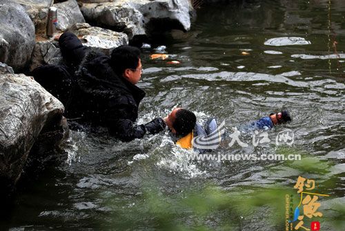 赏鲤鱼 开心 坠水塘 惊心 图