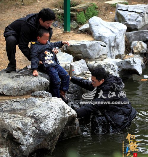 赏鲤鱼 开心 坠水塘 惊心 图