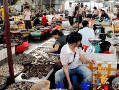 北京最大海鲜市场曝商人为有卖相 用麻醉药喂鱼