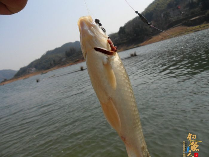 12年首钓钓鱼台水库