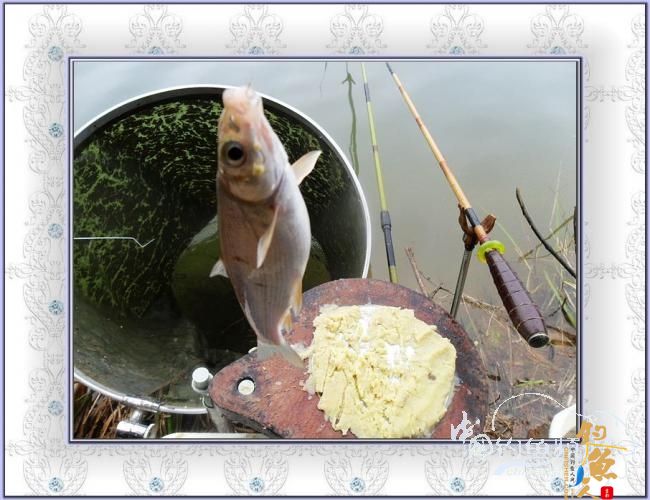 今天,我去偷钓了