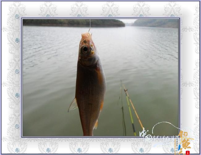 今天,我去偷钓了