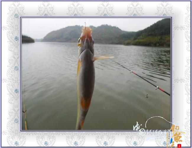 今天，我去偷钓了