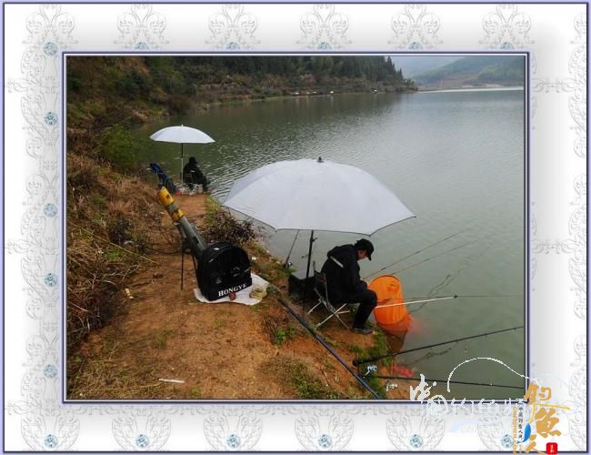 今天，我去偷钓了