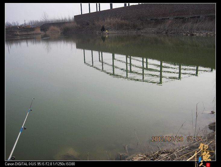 早春钓鲫(五)串钩钓鱼