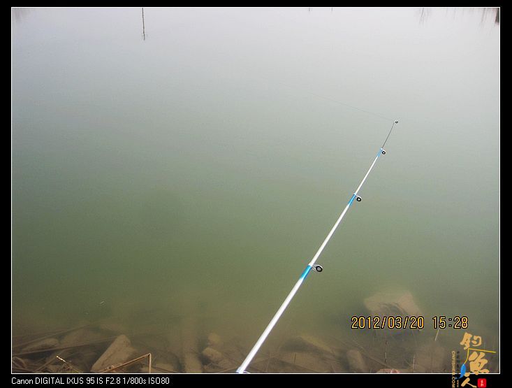 早春钓鲫(五)串钩钓鱼