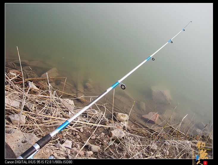 早春钓鲫(五)串钩钓鱼