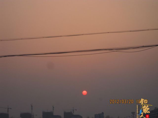 早春钓鲫(五)串钩钓鱼