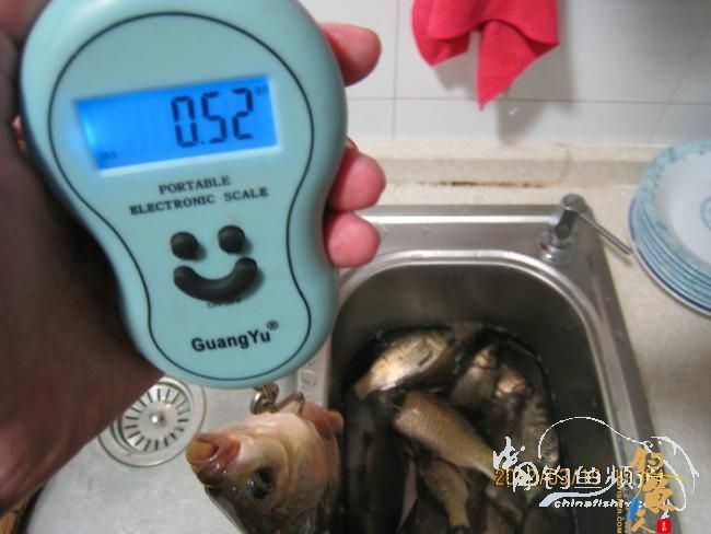 野钓日记-再战野塘 转