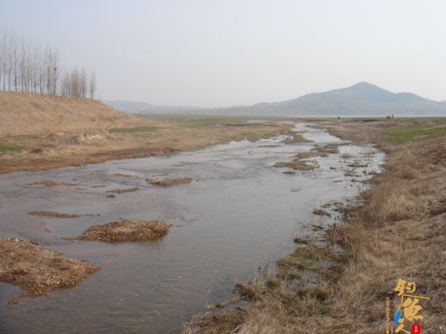 3月18日花两个小时去解毒