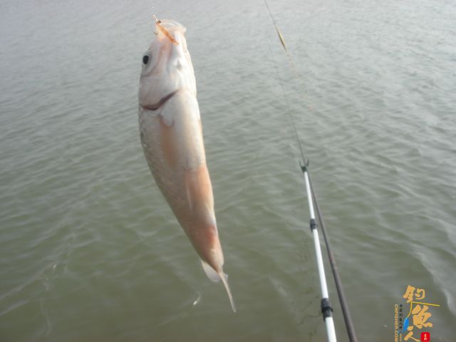 3月18日花两个小时去解毒