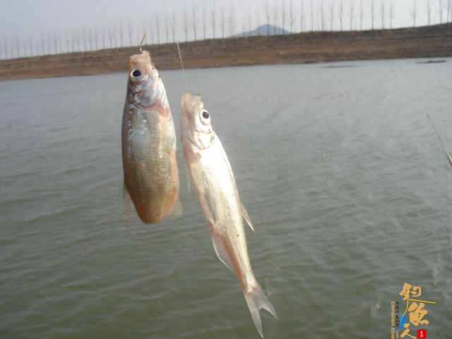 3月18日花两个小时去解毒