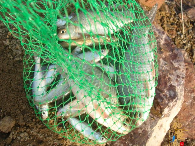 3月18日花两个小时去解毒