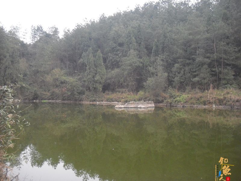 阳春三月的天 九岭水库之狂拉白条