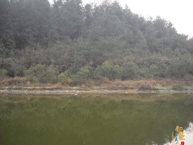 阳春三月的天 九岭水库之狂拉白条