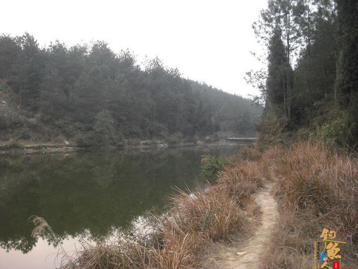 阳春三月的天 九岭水库之狂拉白条