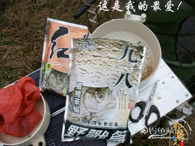 一荤一素搭配好 初春鱼儿吃得欢