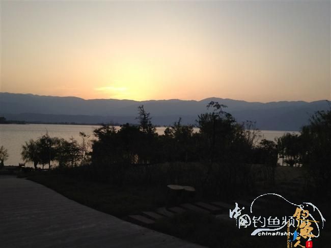 春天终于到了,鱼开口了,但是更郁闷了