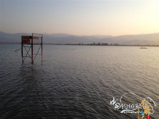 春天终于到了,鱼开口了,但是更郁闷了