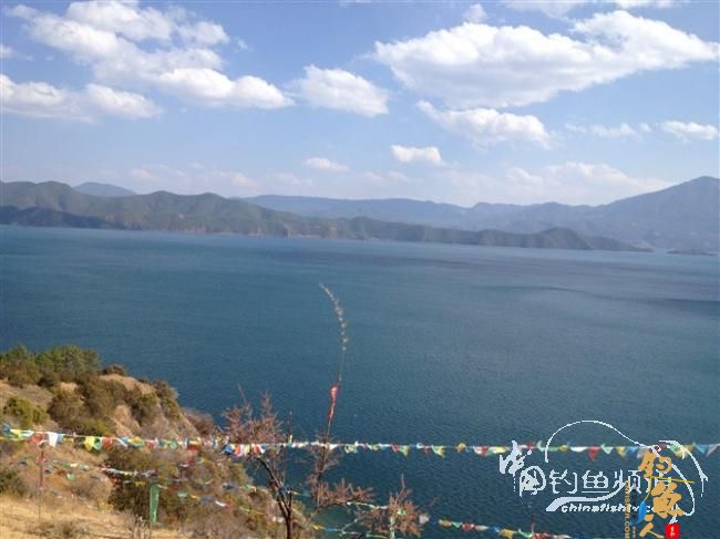 春天终于到了,鱼开口了,但是更郁闷了