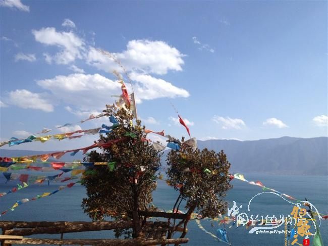 春天终于到了,鱼开口了,但是更郁闷了