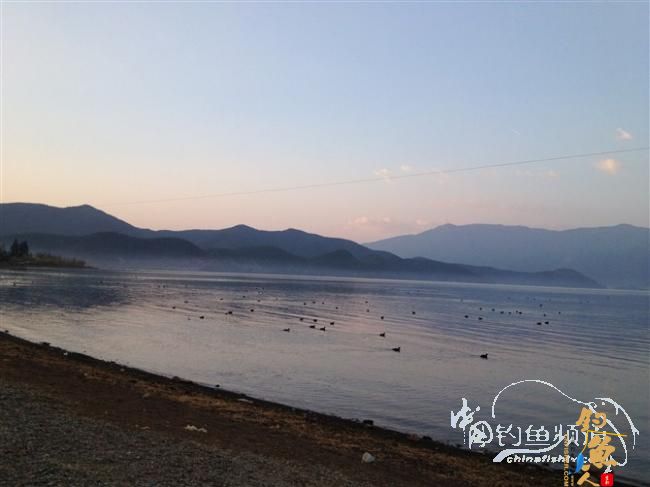 春天终于到了，鱼开口了，但是更郁闷了