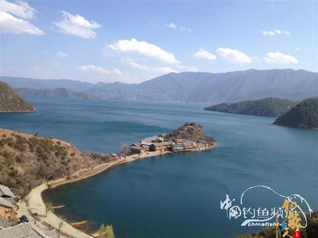 春天终于到了，鱼开口了，但是更郁闷了