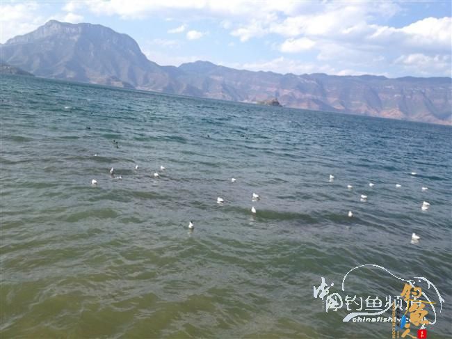 春天终于到了，鱼开口了，但是更郁闷了