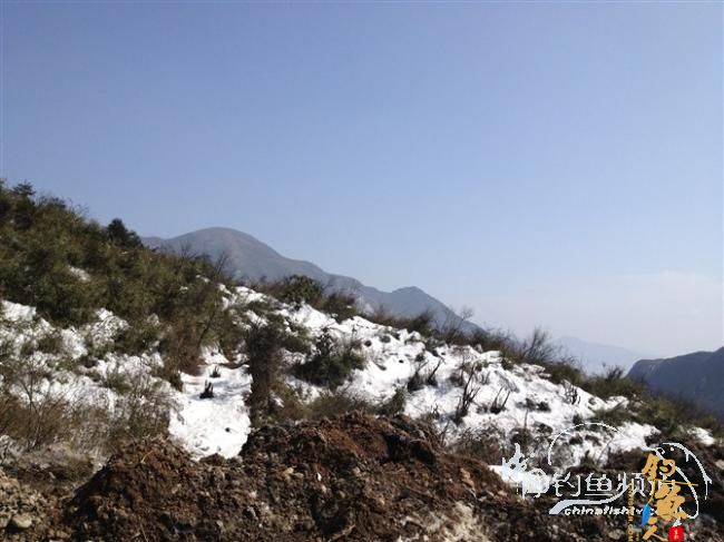 春天终于到了,鱼开口了,但是更郁闷了