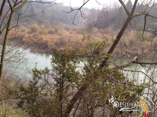 春天终于到了,鱼开口了,但是更郁闷了