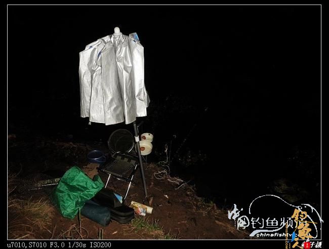 收礼（鲤）不成被扫黄