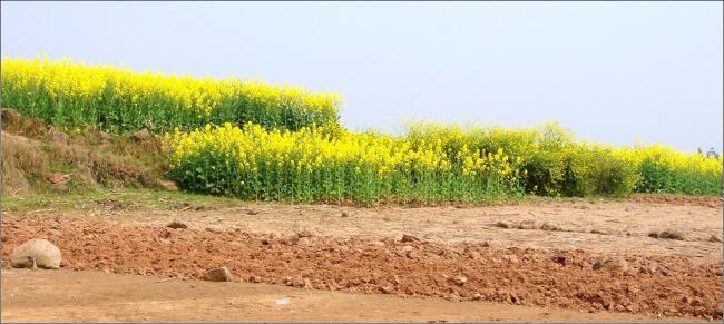 2012年的第一波热浪，比以往时候来的更陡一些