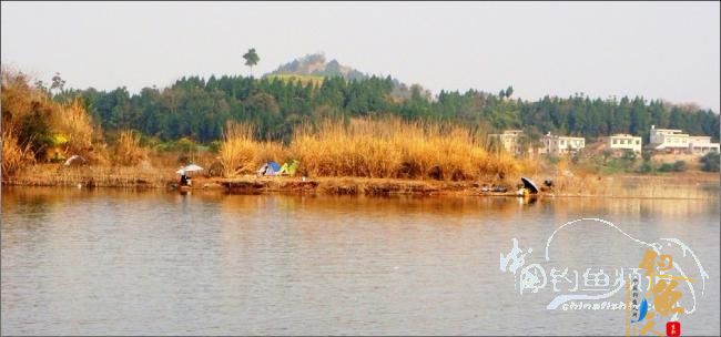 2012年的第一波热浪，比以往时候来的更陡一些