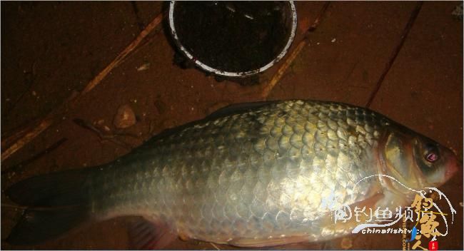 2012年的第一波热浪，比以往时候来的更陡一些