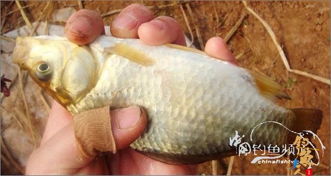 2012年的第一波热浪，比以往时候来的更陡一些